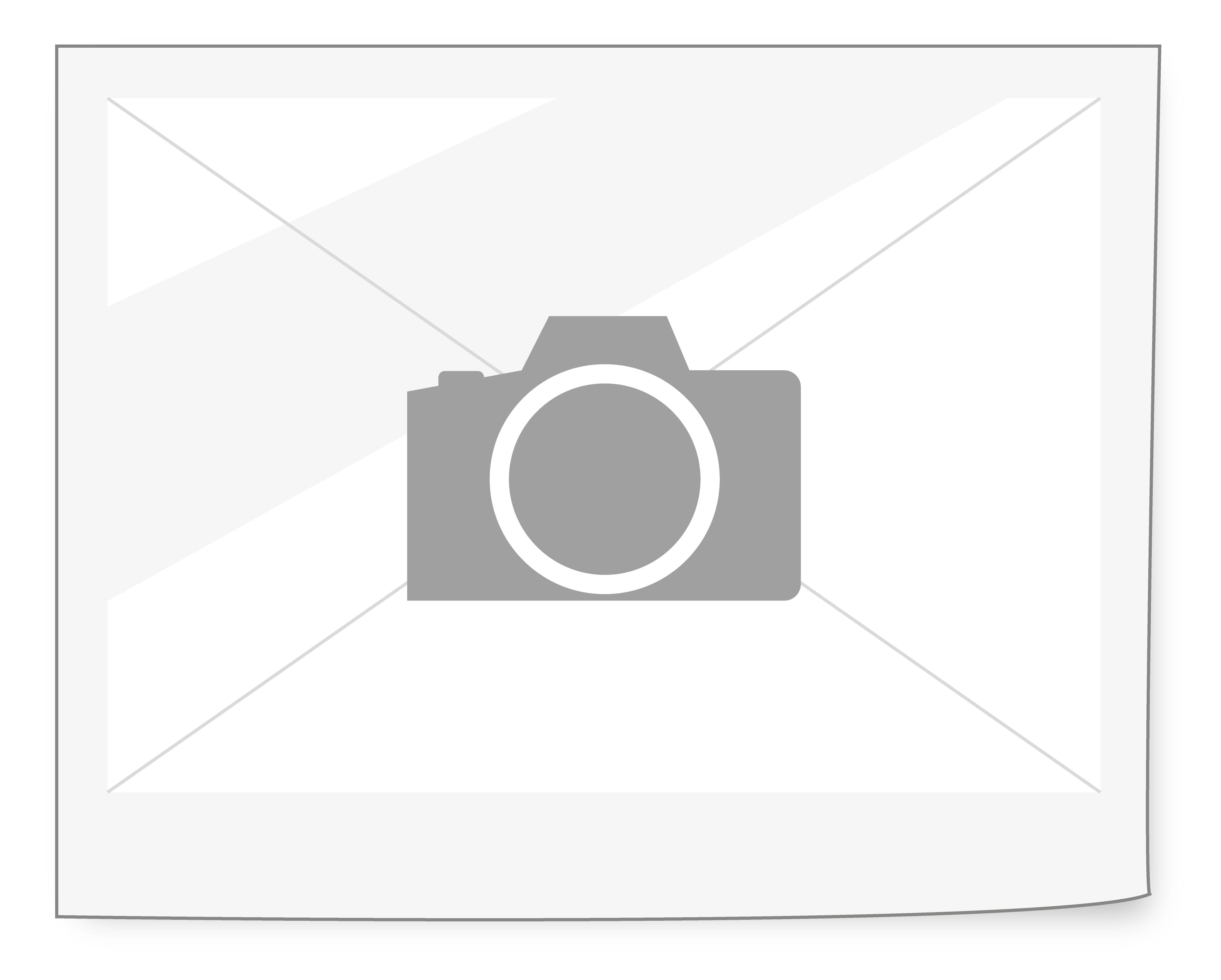 BRENNOLJEFILTER N2.10